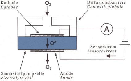 安培龙新型氧传感器及高温湿度传感器研发成功 安培龙新型氧传感器及高温湿度传感器研发成功